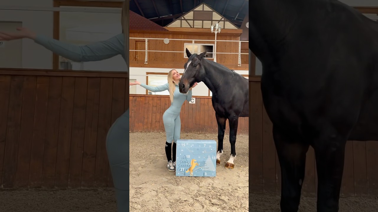 Da ist er wieder! Der Horsebrands Adventskalender für ALLE Reiter! 😍🐴 
