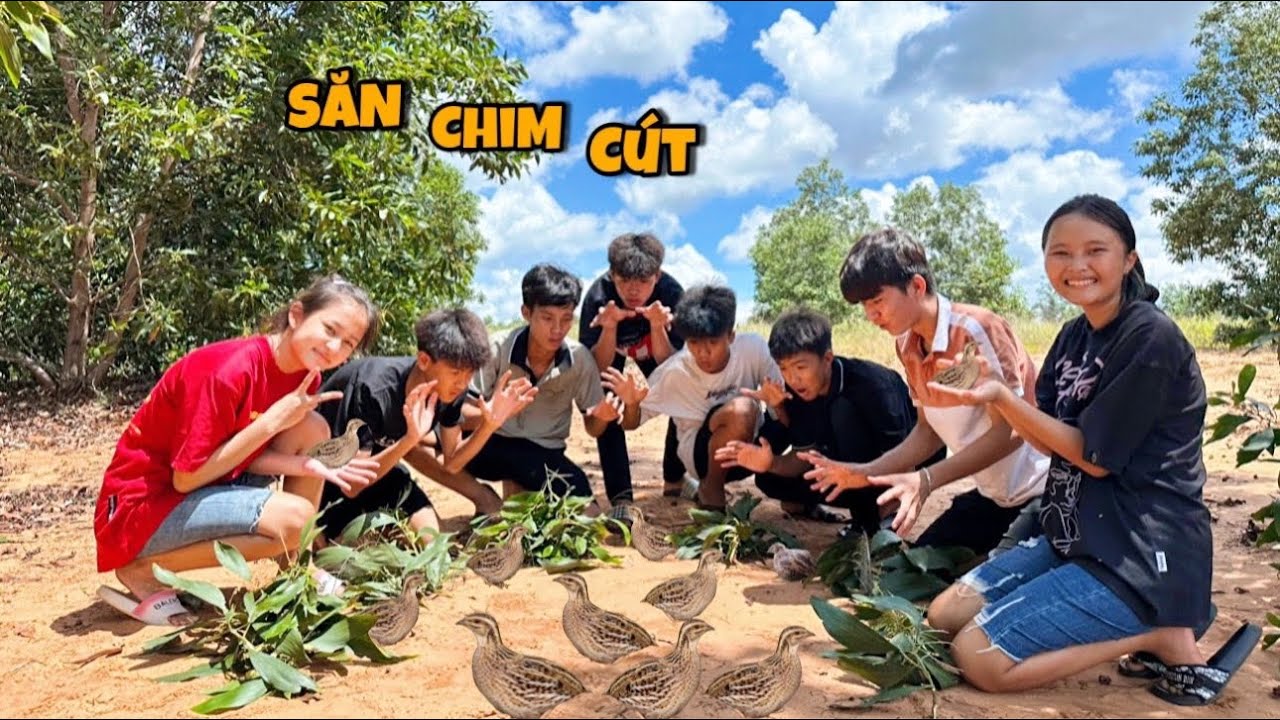 Anh Ba Phải | Một Ngày Sinh Tồn Đặt Bẫy Bắt Cút