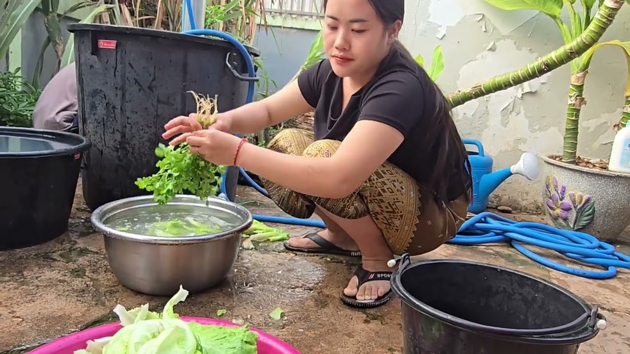 Long Kajsiab los ua fawm noj    23 ກຸມພາ 2026