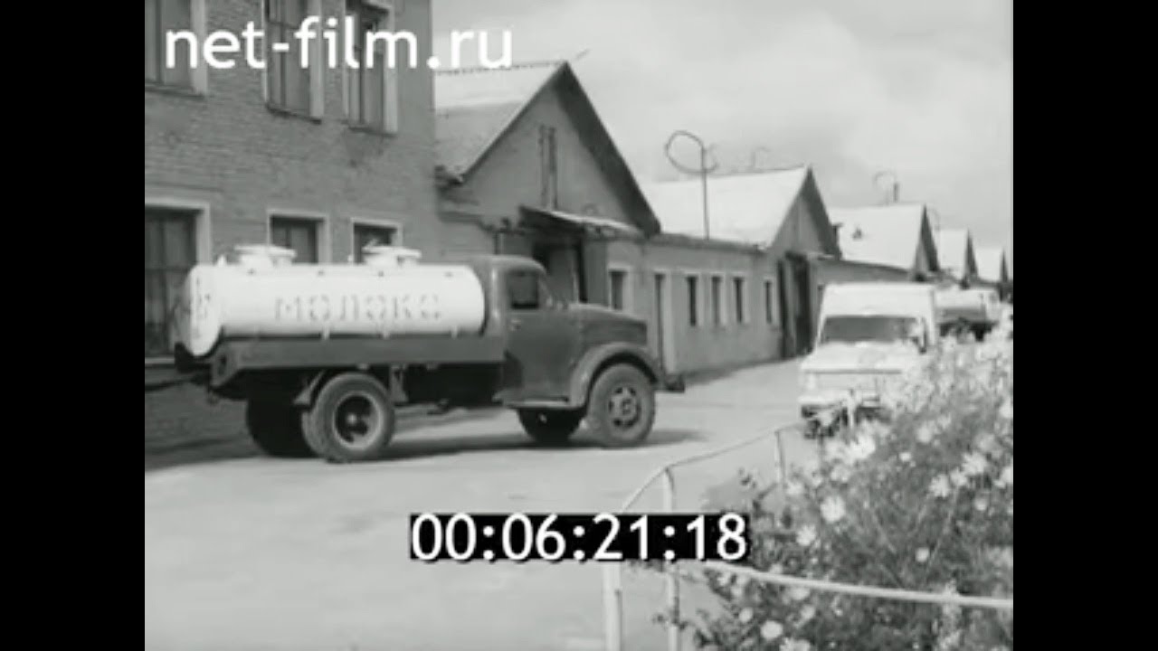 1975г. колхоз Заря коммунизма. село Пушкино. Эннс Иван Яковлевич. Омская обл.