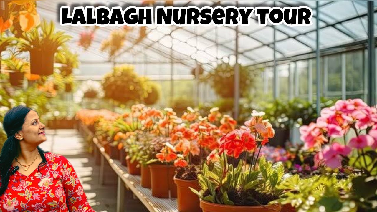 Lalbagh Nursery Tour | Bangalore’s Green Treasure | A Paradise for Plant Lovers | Complete Guide |