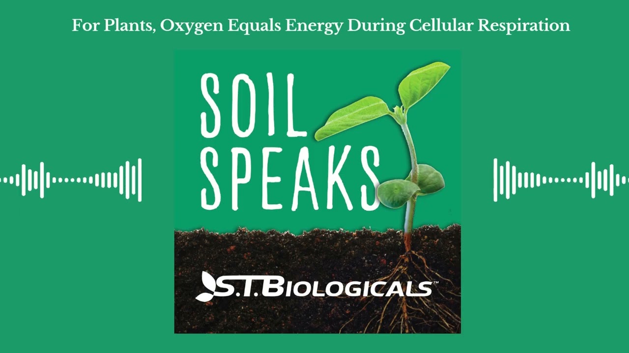 For Plants, Oxygen Equals Energy During Cellular Respiration | ST Biologicals Soil Speaks Podcast