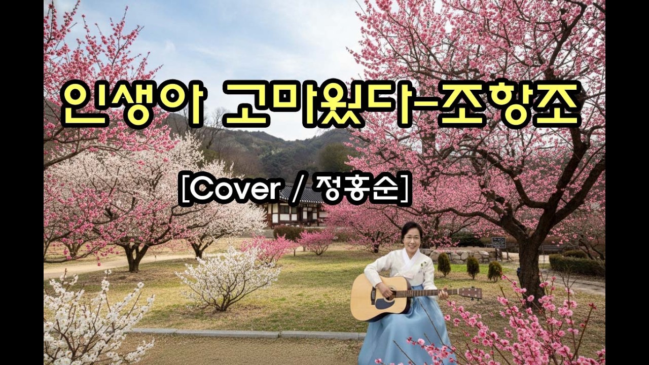 [인생아 고마웠다 - 조항조 🎸 감성 가득한 연주와 노래 (Cover 정홍순)]