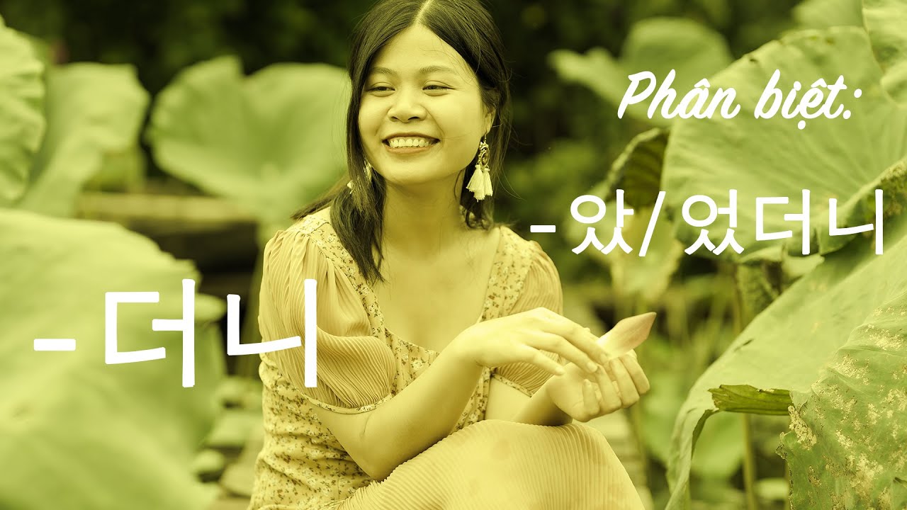 Phân biệt ngữ pháp trung cấp -았었더니 và -더니 | Gia sư Tiếng Hàn Park HA