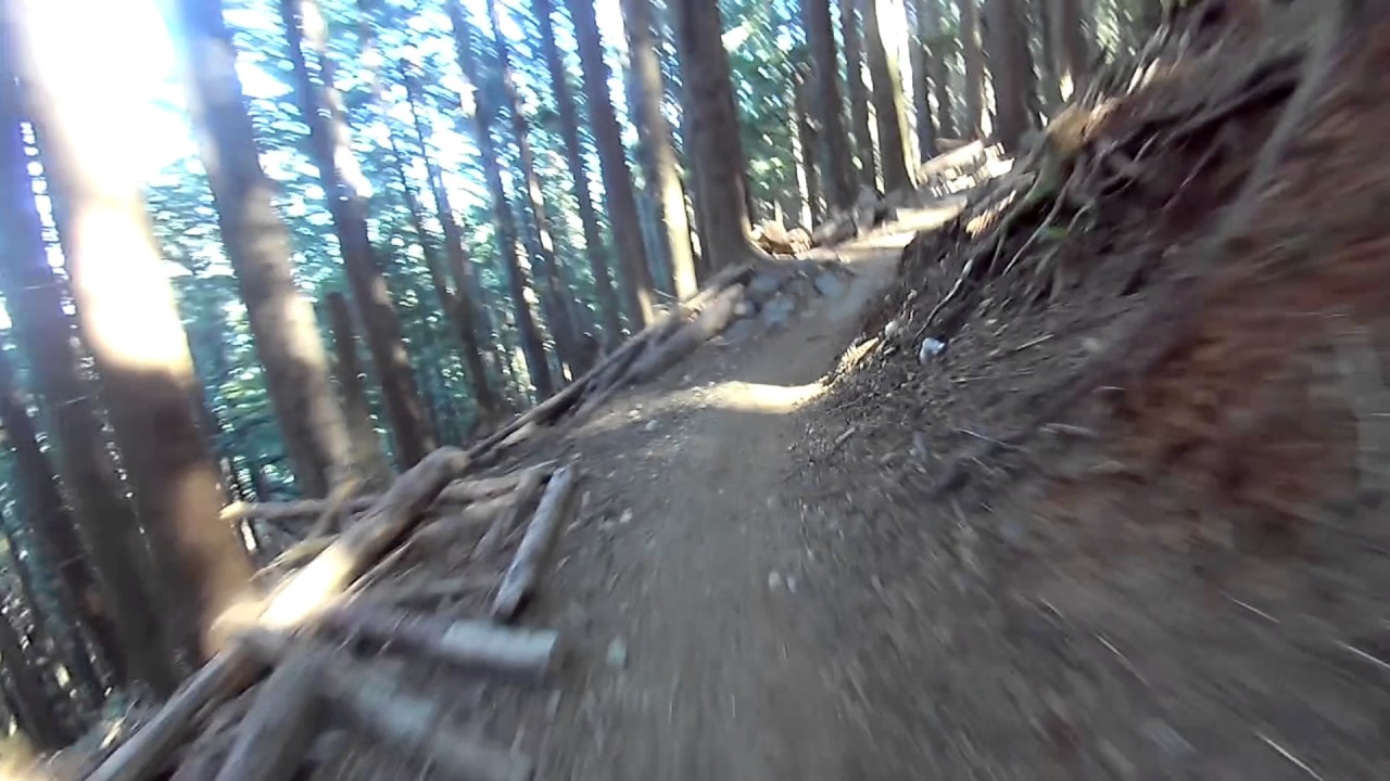 Tiger Mountain