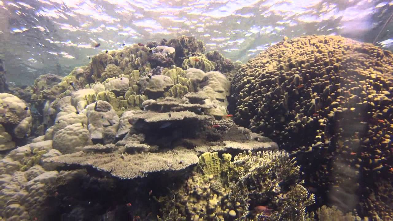Crociera Mar Rosso Parte2