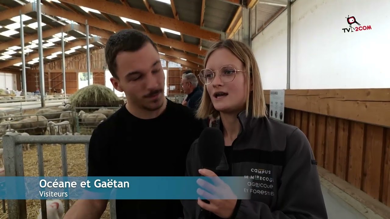 la fête des bergers à la ferme Ebner de Sélestat