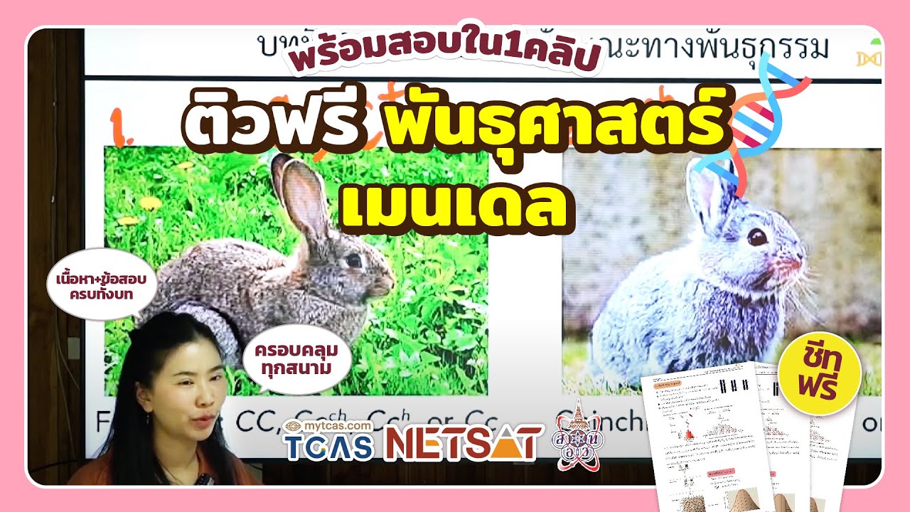 สรุปเนื้อหา+ข้อสอบ พันธุศาสตร์ พร้อมสอบใน 1 คลิป(ชีทฟรี)