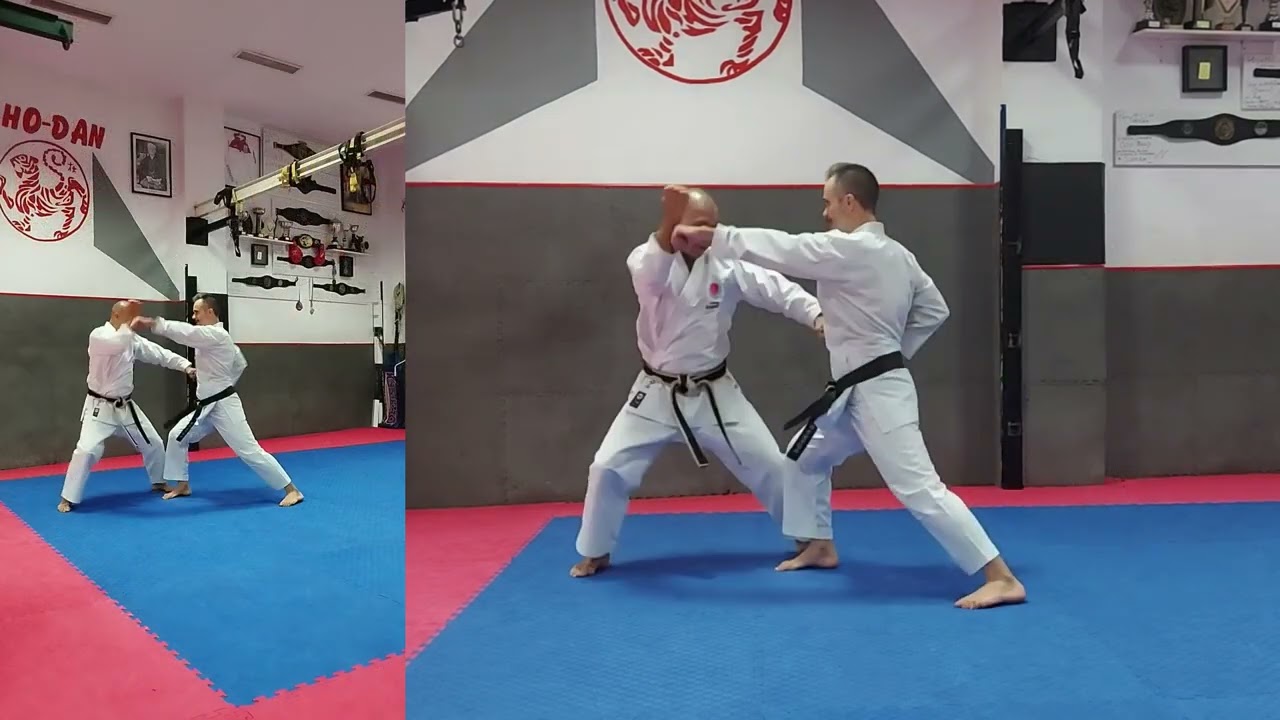 JION BUNKAI-APLICACION DEL KATA