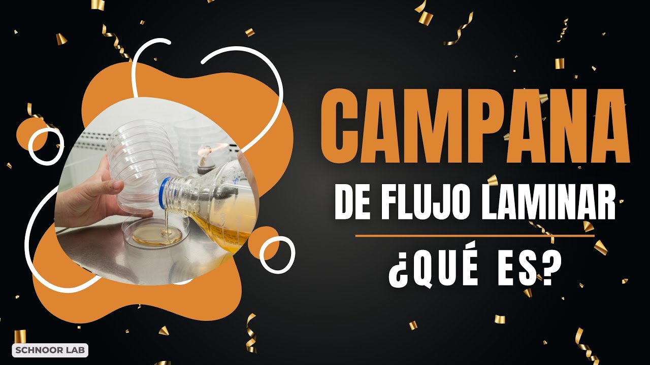 Campana de flujo laminar en Schnoor Lab