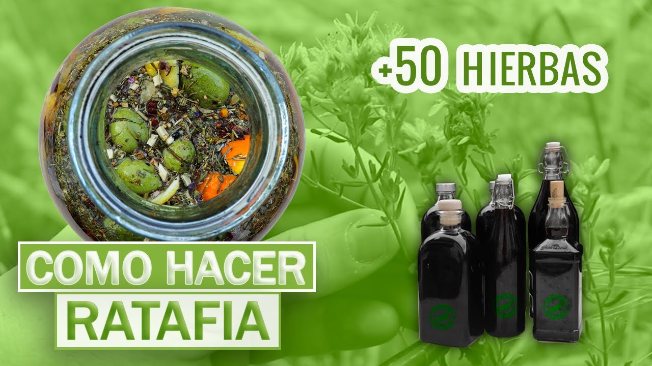 CÓMO HACER RATAFIA ¡Muy fácil!