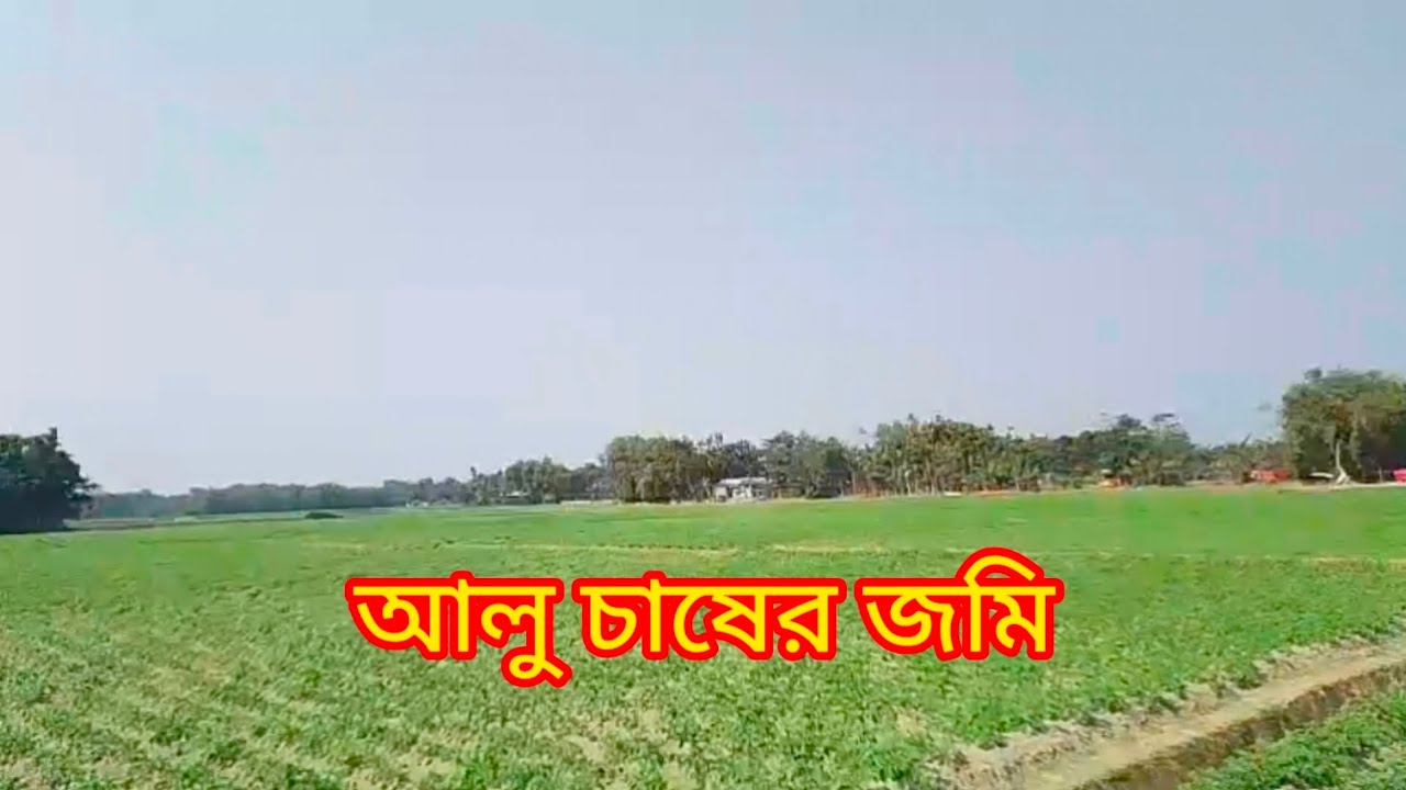 গ্রামের এই ফসলের জমি দেখলে সত্যিই মনটা ভরে যায়। ❤️