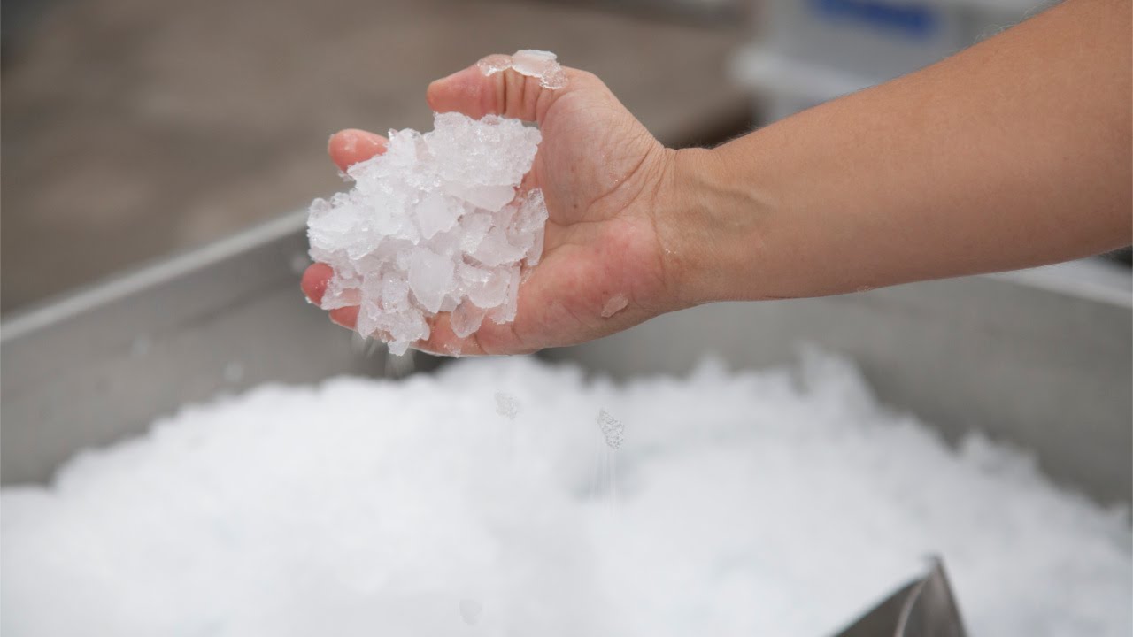 Curso Técnicas de Processamento de Peixes - Conservação pelo Frio - Cursos CPT