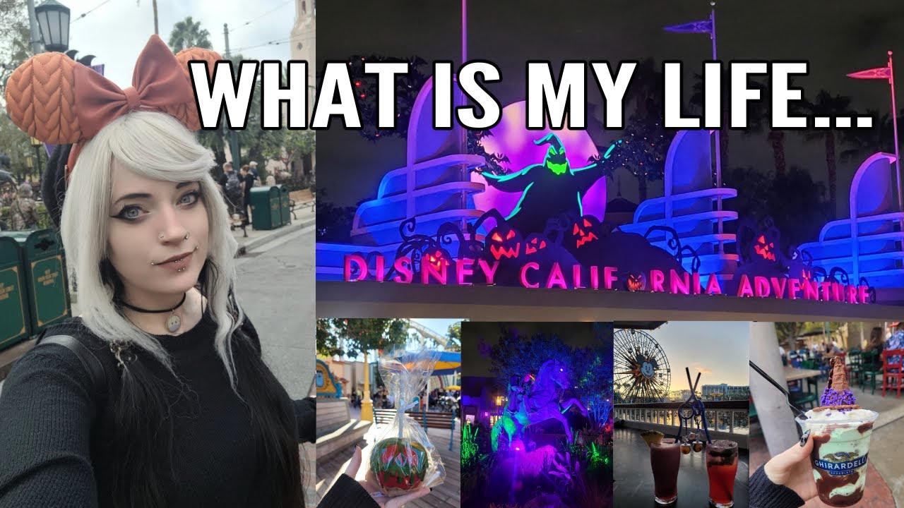 California Adventure Park...What Is My Life
