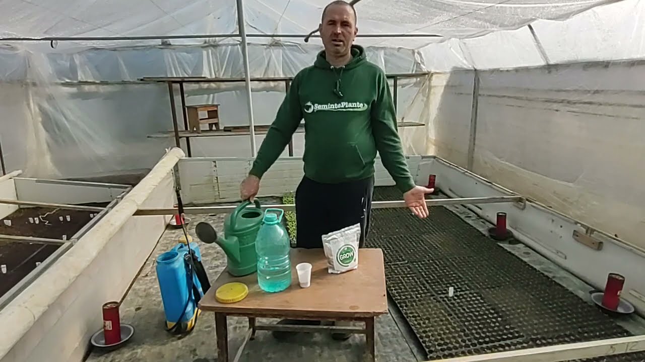 PRIMUL TRATAMENT LA RASADURILE DE LEGUME!!!