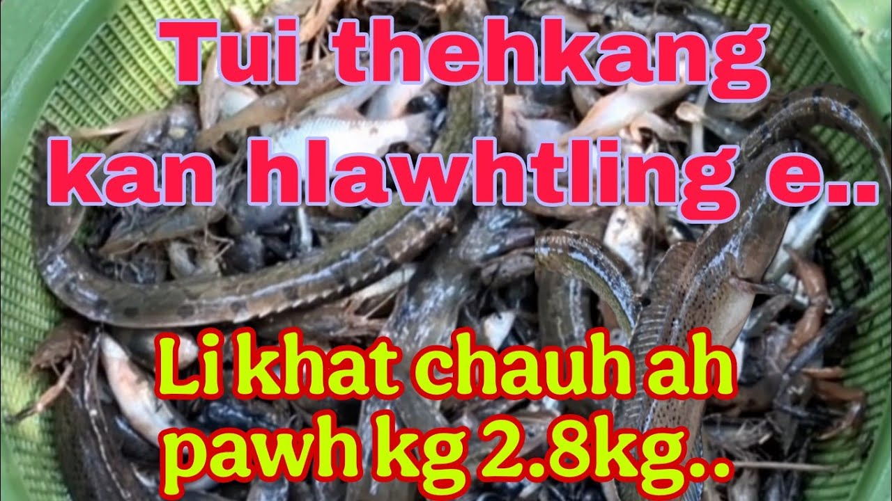 Tuithehkang kan hlawhtling hle....