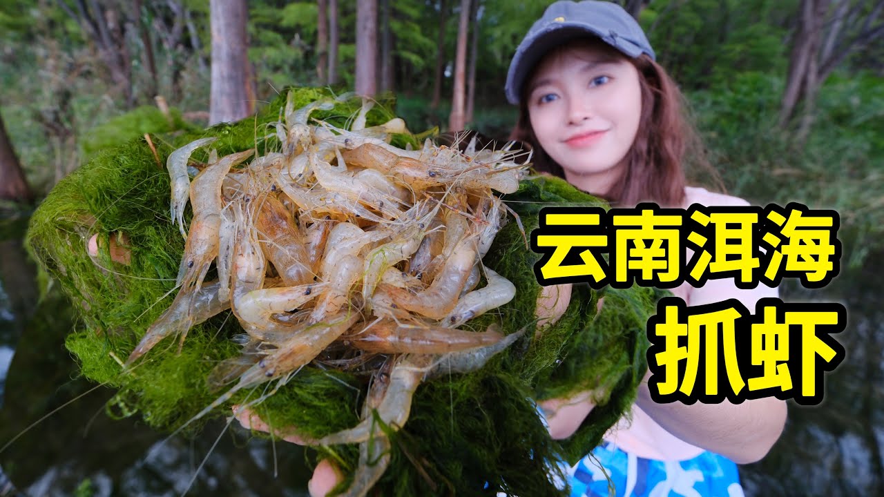 在云南洱海抓虾，100只白虾轻松上钩，做炸虾饼金黄酥脆！| 赶海 | 户外 | 美食 | 雲南 | 抓虾 |