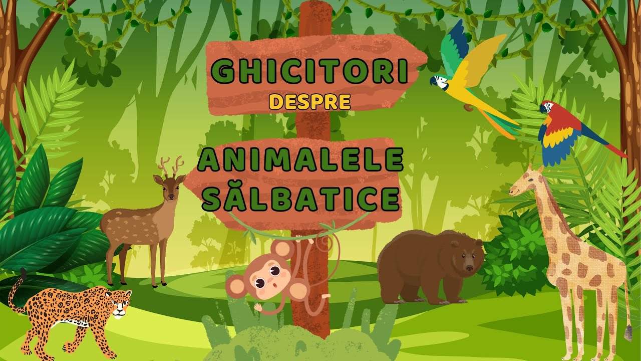 Ghicitori despre  animalele sălbatice