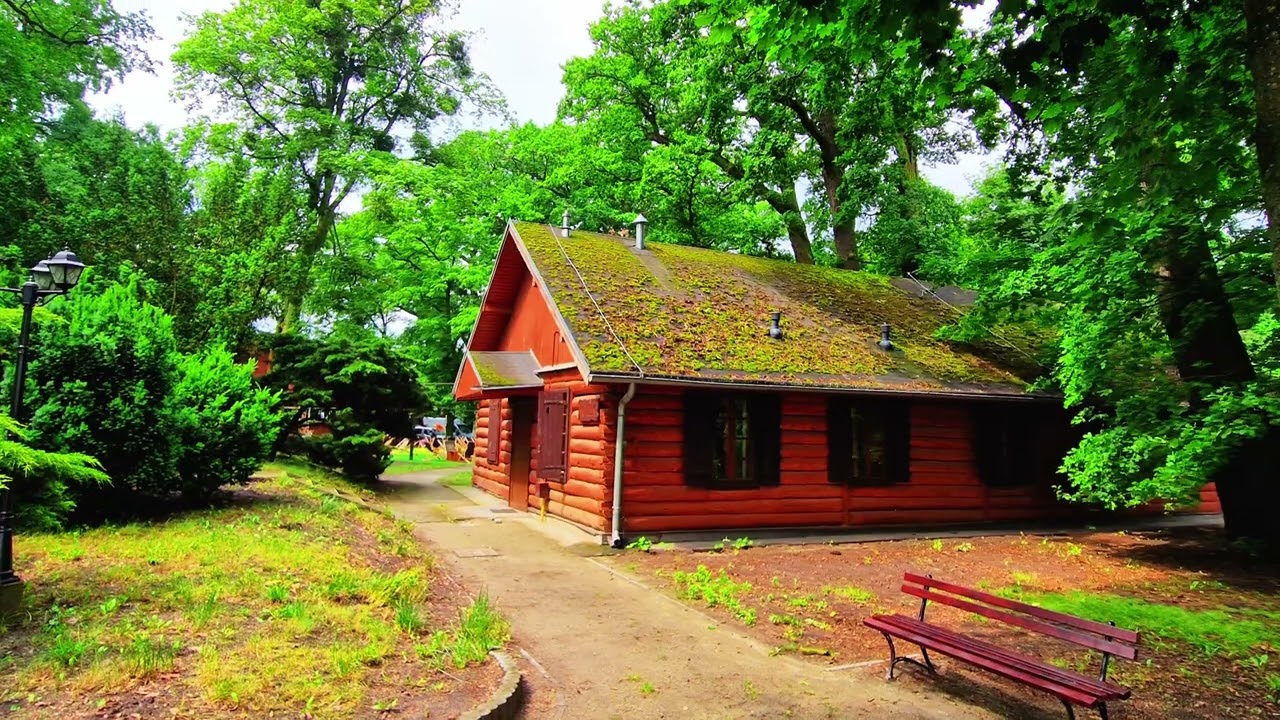 Zaniemyśl - Wyspa Edwarda