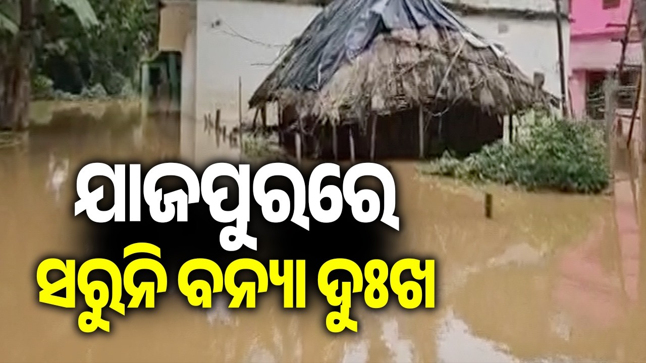 ଯାଜପୁରରେ ସରୁନି ବନ୍ୟା ଦୁଃଖ | Jajpur Still Grapples with Flood Havoc, water level of Baitarani rises
