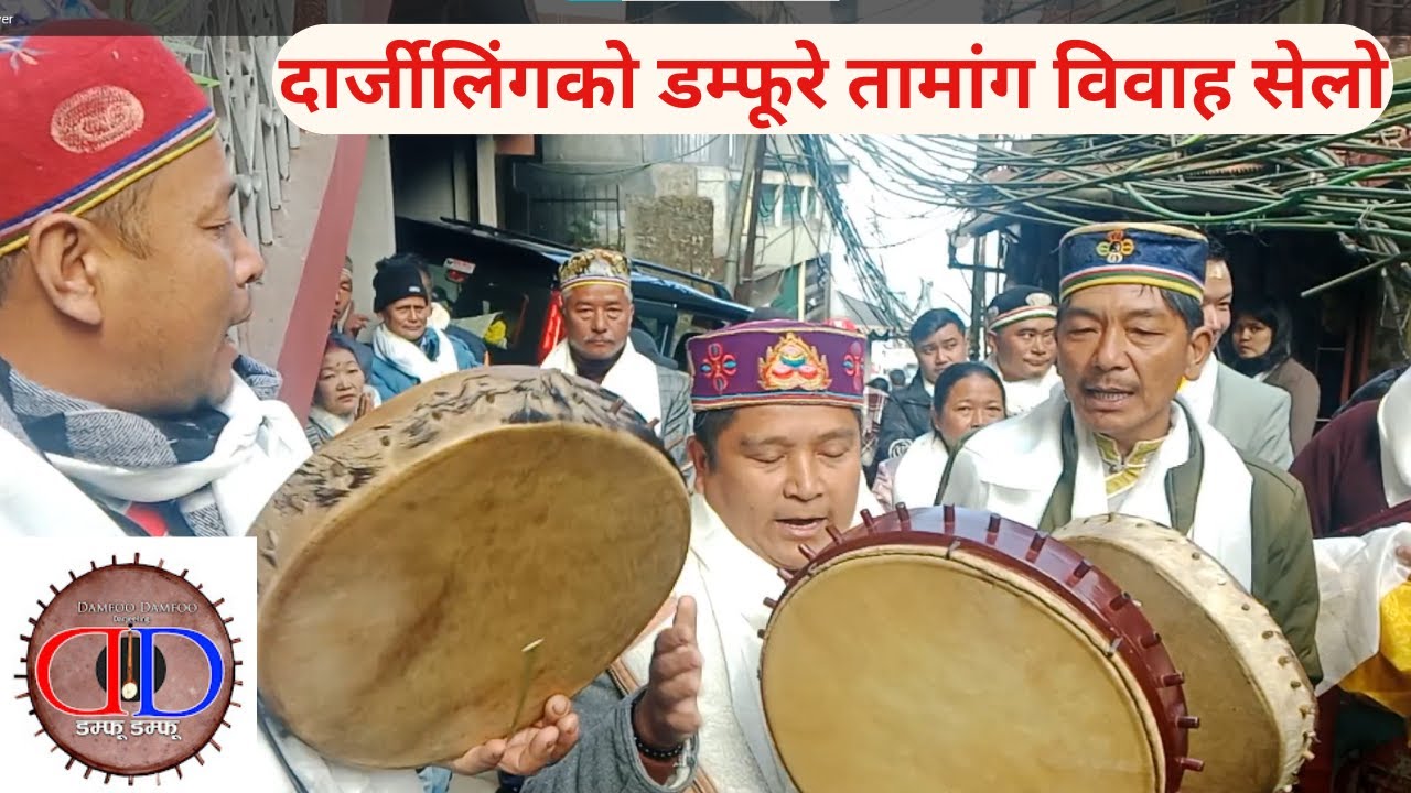 दार्जीलिंगको यो डम्फू तामांग दस्तूर / दार्जीलिंगको डम्फूरे तामांग विवाह सेलो / Damfoo Damfoo /