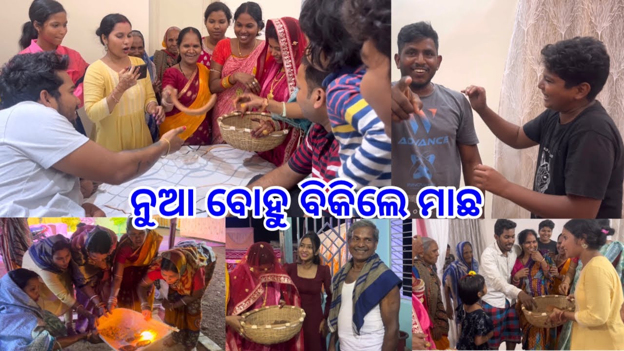 ହାଣ୍ଡି ଧଡ଼କାରେ କେତେ ଟଙ୍କା ହେଲା ନୁଆ ବୋହୁ ବିକିଲେ ମାଛ 😄ଘର ଖାଲି ଘୋଘା @DpEatingShow