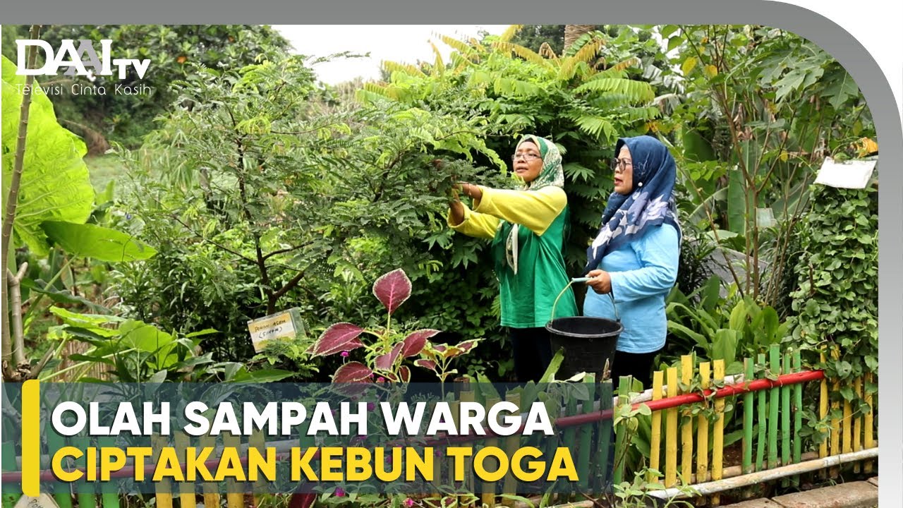 Kebun Toga dari Sampah Dapur