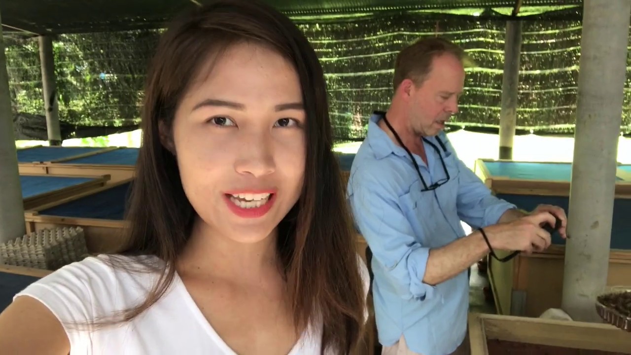 Cricket Farm - Nonthaburi | Thailand with Chalida