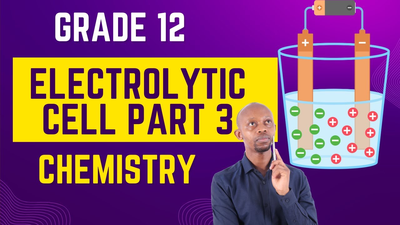 Electrolytic Cell Part 3-Everything You Need To Know About The Electrolytic Cell