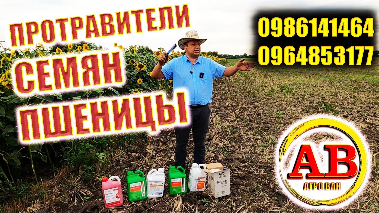 КАКОЙ ЛУЧШЕ ПРОТРАВИТЕЛЬ🌾 ЧЕМ ОТЛИЧАЮТСЯ ПРОТРАВИТЕЛИ СЕМЯН?