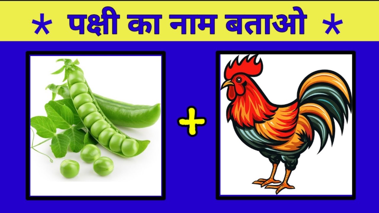🐦Guess the Birds Name by Emoji Challenge/Bird by Emoji/Paheli/Emoji Challenge/Quiz @SainigPuzzles