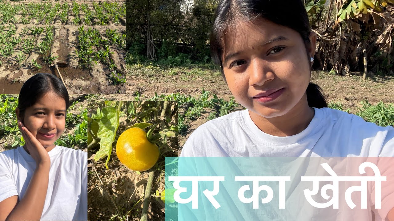 घर का खेती #viralvideo #villagerlifestyle #trending #farming #farmer #support 