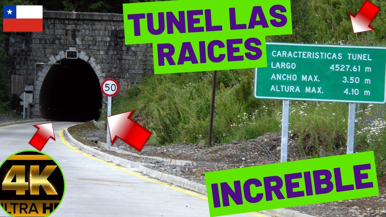 TUNEL LAS RAICES - LONQUIMAY