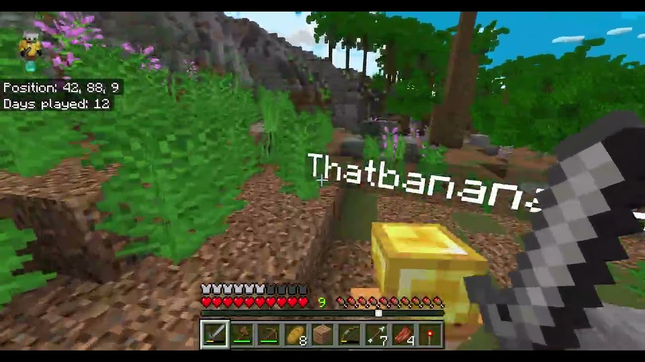 Minecraft
