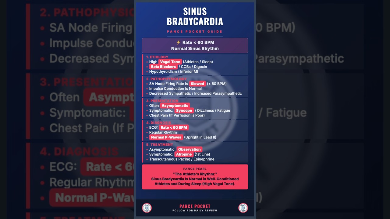 Too Slow? 🐢 (Sinus Bradycardia) #PANCE #PAStudent #MedicalShorts