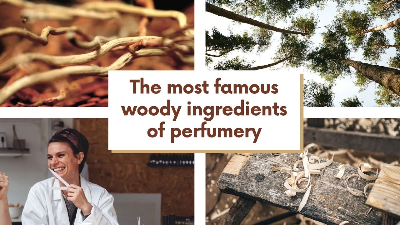 The most famous woody ingredients of perfumery