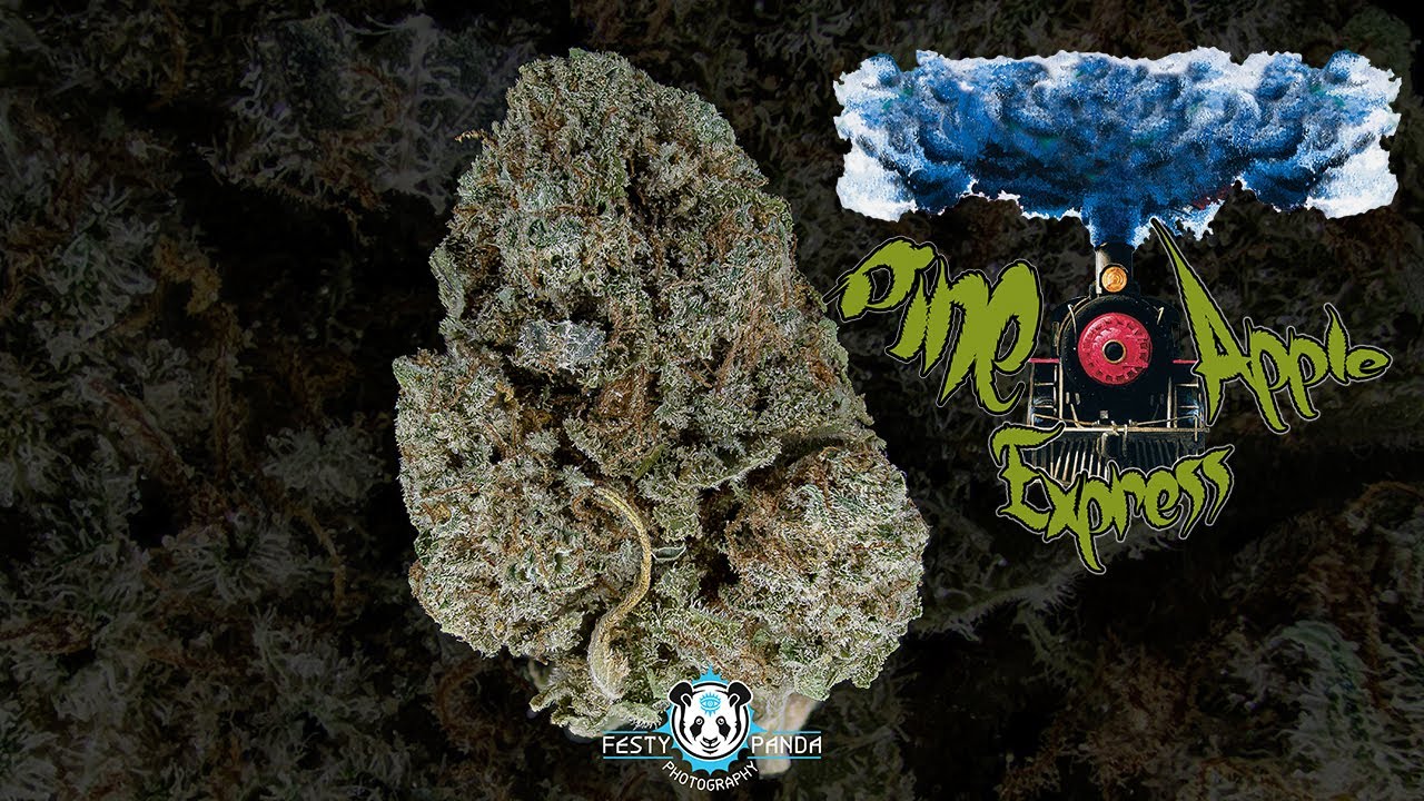 Pineapple Express Strain Review - Osage Creek - AR
