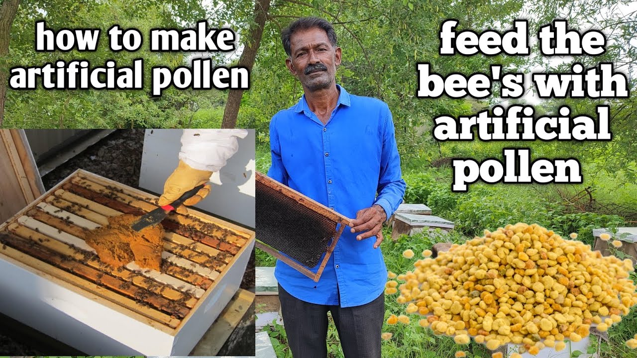 how to make artificial pollen/feed the bee's with artificial pollen