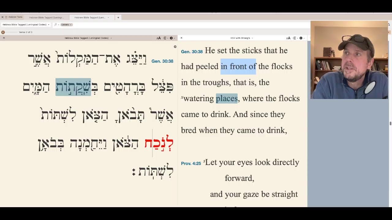 Rob on the ROCK Live Stream ~ Parashat Toldot
