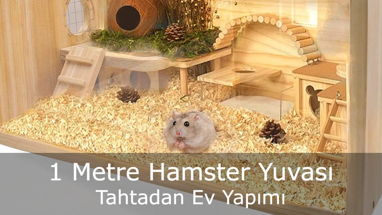 Çok Büyük Hamster Yuvası Yaptım