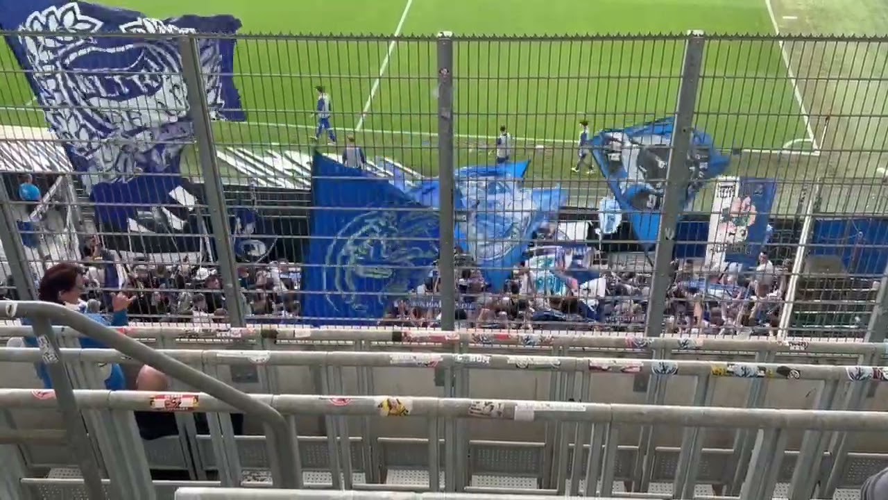 VfL Wolfsburg - SV Darmstadt 98 (04.05.2024) - Lilien sind...