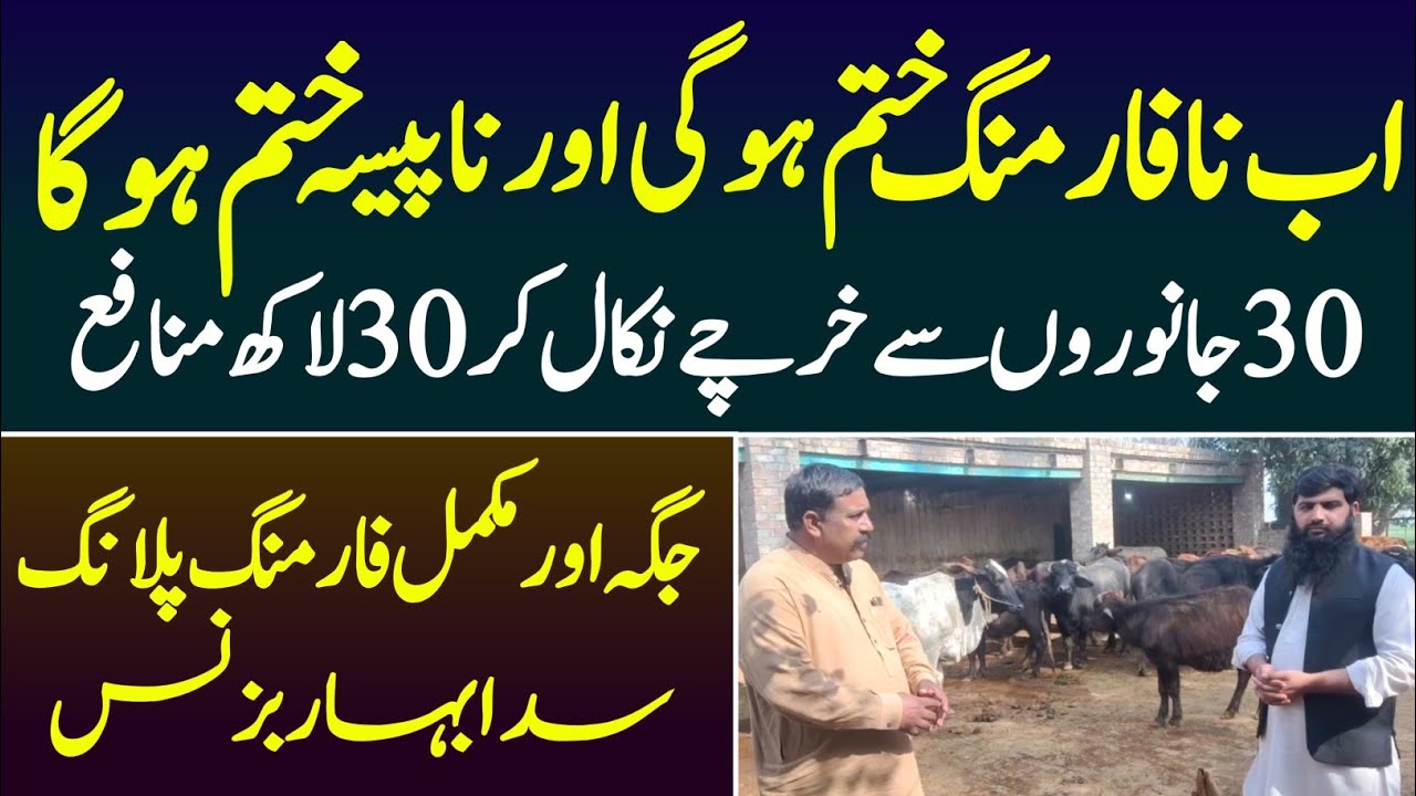 Bachri Farming Business idea 2022