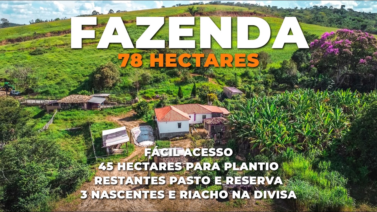 FAZENDA 78 HECTARES, PLANTA 45, BOA DE ÁGUA, FÁCIL ACESSO, ÓTIMA REGIÃO