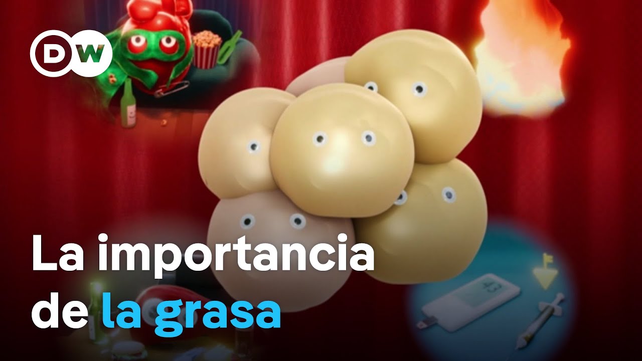 &iquest;Por qu&eacute; necesitamos grasa corporal?