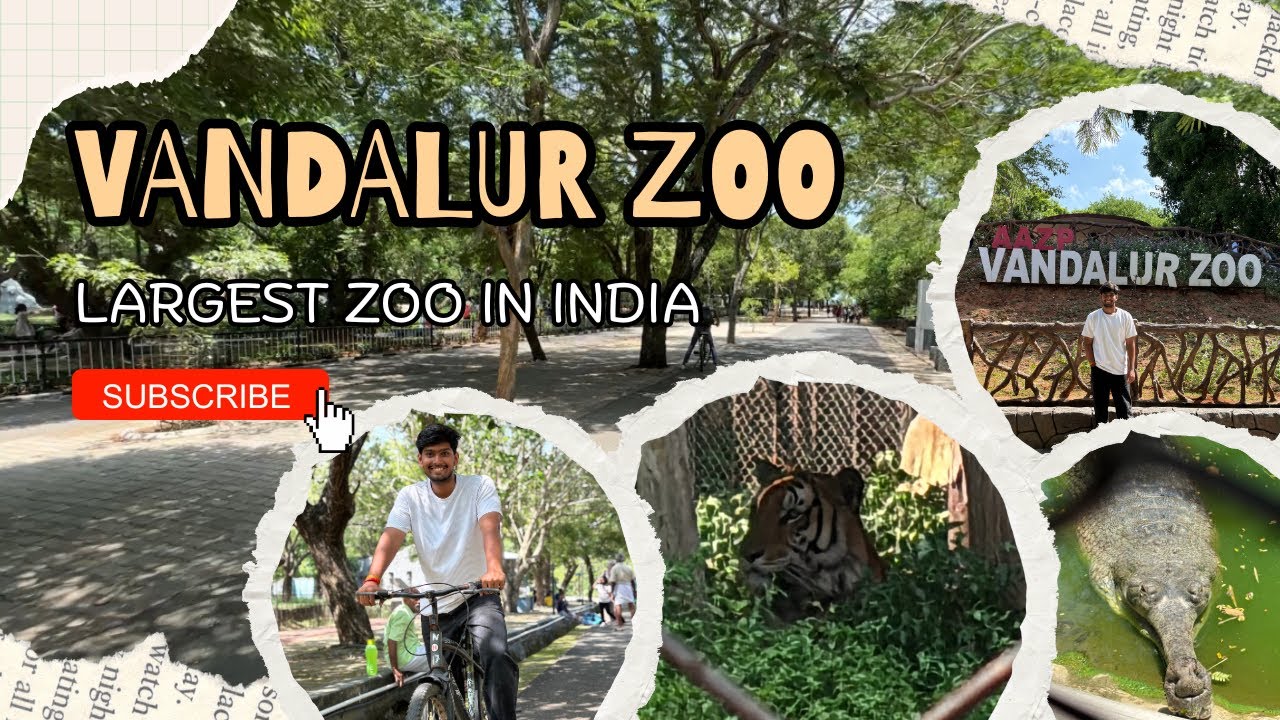 Vandalur Zoo - Largest Zoo in India 🤯😱| TCS Ignite Diaries Ep : 5 |TCS Ignite Trainee #tcs #travel 