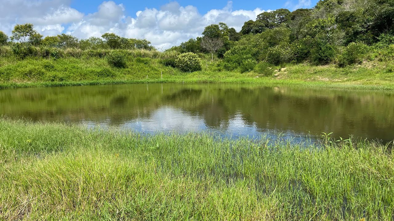 Sítio a venda 4/5 hectares em Areial Paraíba valor 150 mil reais zap 83 9 9617-1757