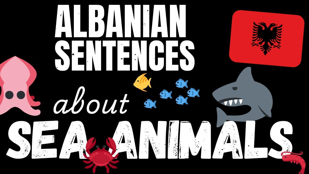 200 B1 Albanian sentences - Marine Animals | Learn Intermediate Albanian vocabulary