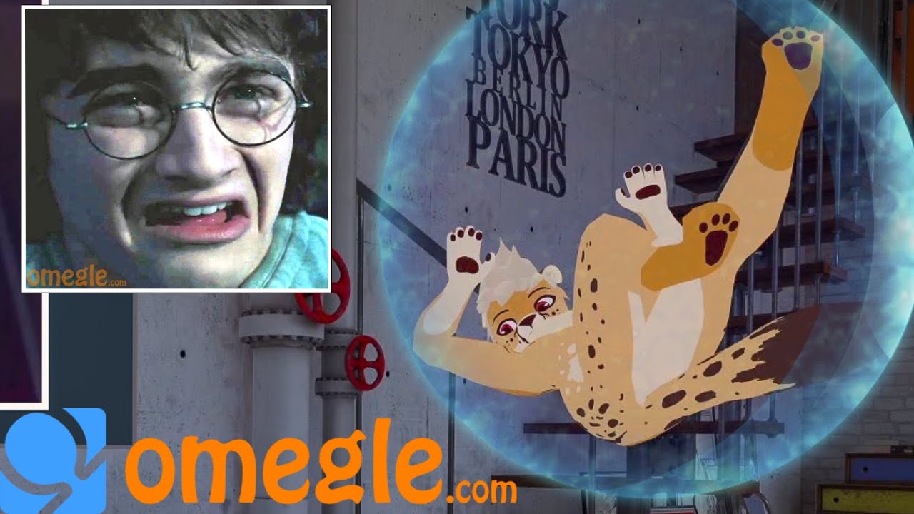 I Found Harry Potter On Omegle! (VRChat)