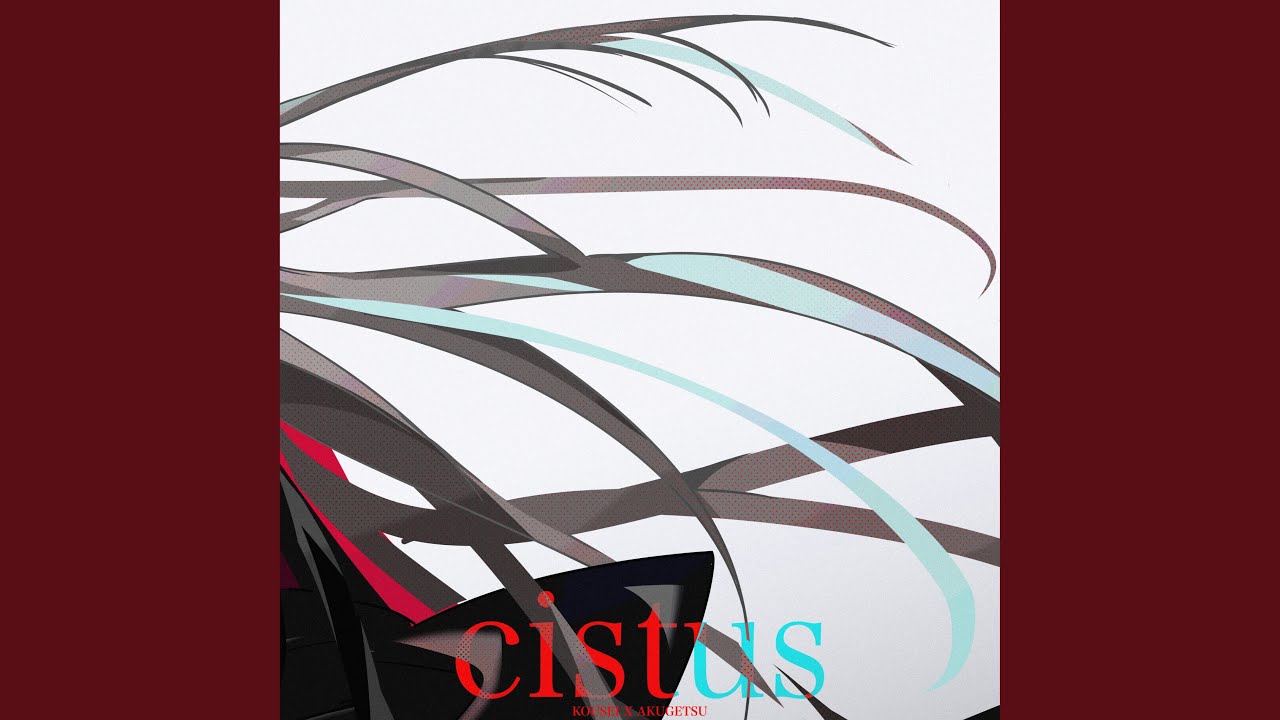 Cistus (Vocal. 악월)
