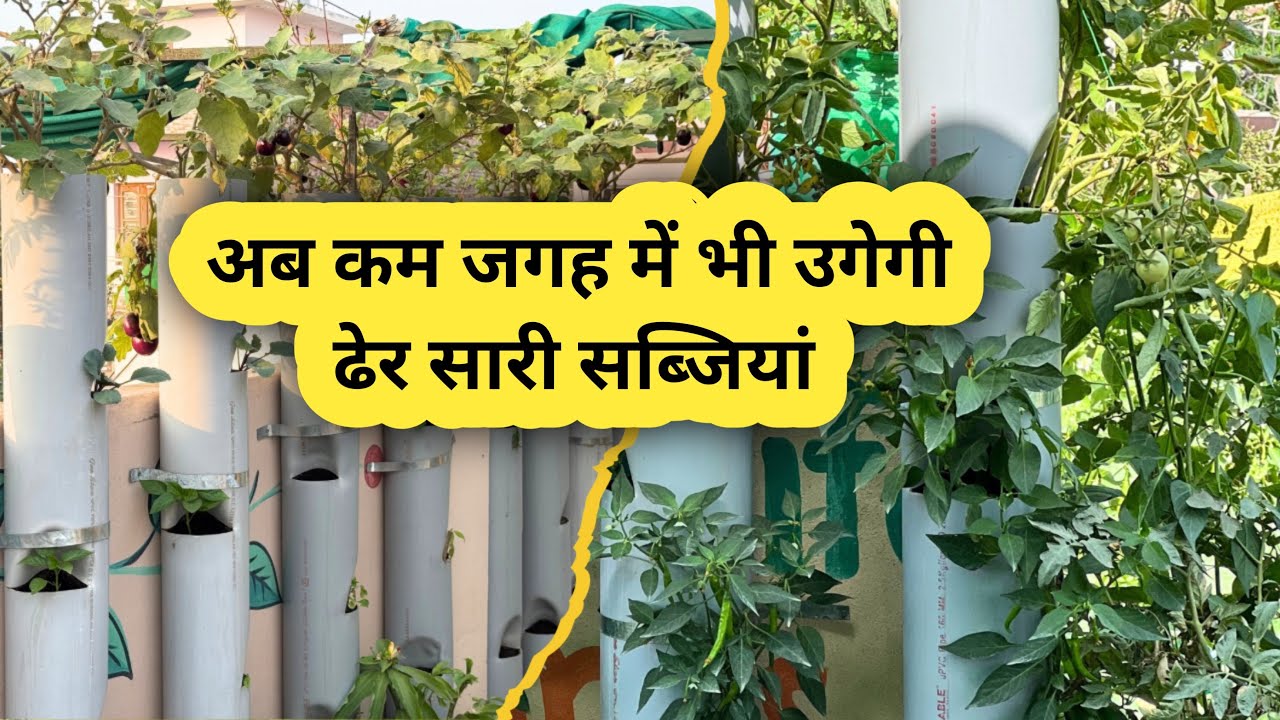 कम जगह में भी उगेंगी ढेर सारी सब्ज़ियाँ ॥ Unique Gardening idea ॥